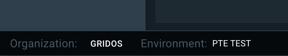 The Console displays the environment labels in the footer of the page.
