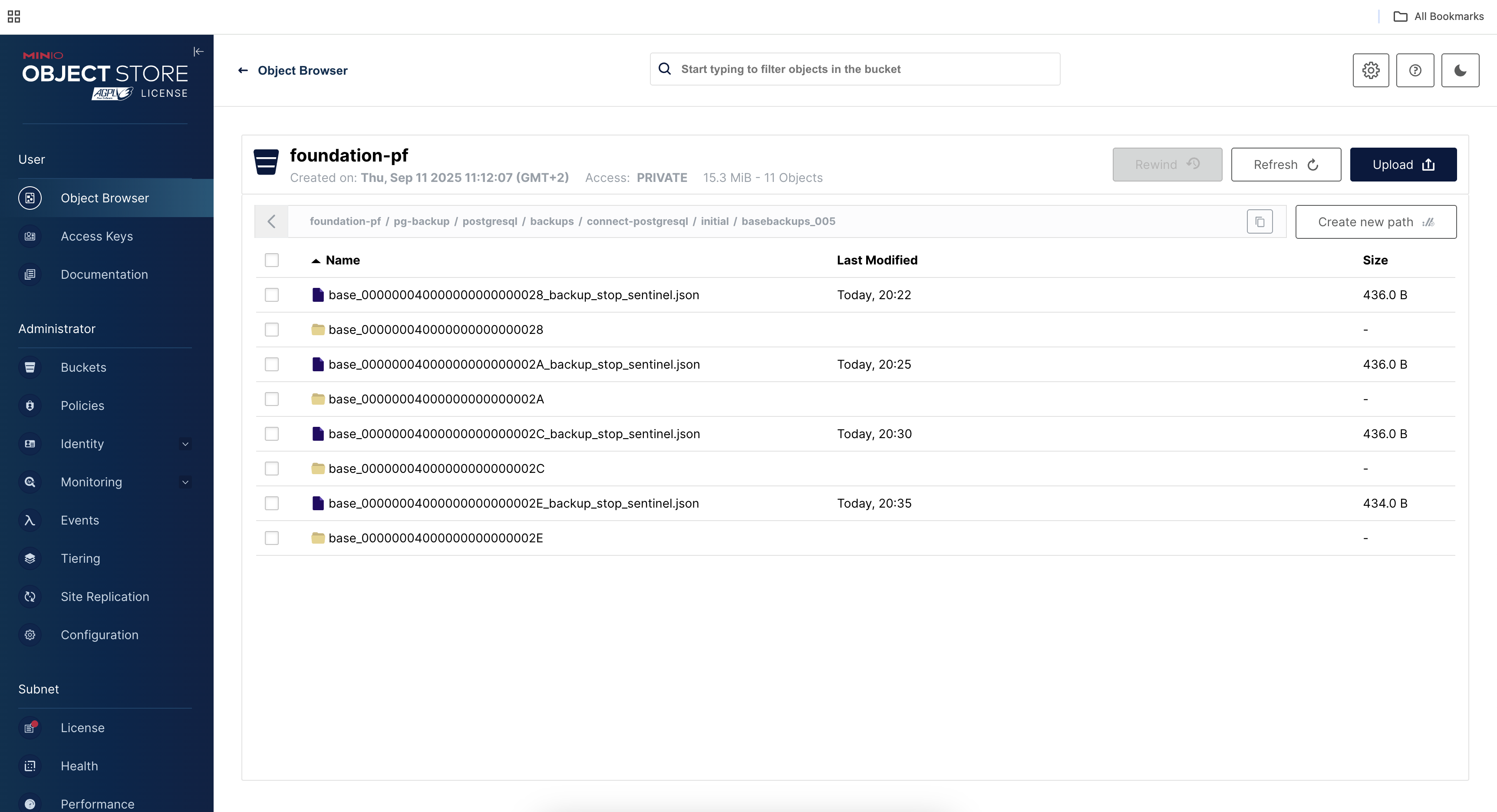 MinIO PostgreSQL base backup